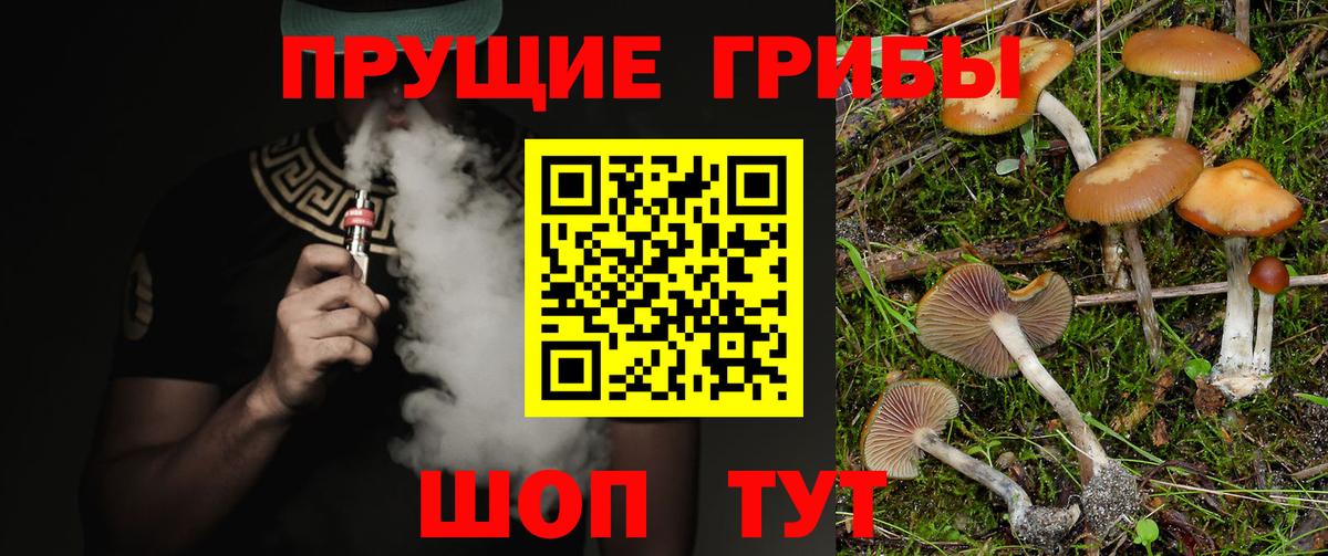 Псилоцибиновые грибы прущие грибы  купить наркотик  Лесозаводск  Вход с VPN  Галлюциногенные грибы Magic Shrooms 