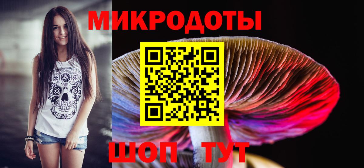 Псилоцибиновые грибы Cubensis Лесозаводск